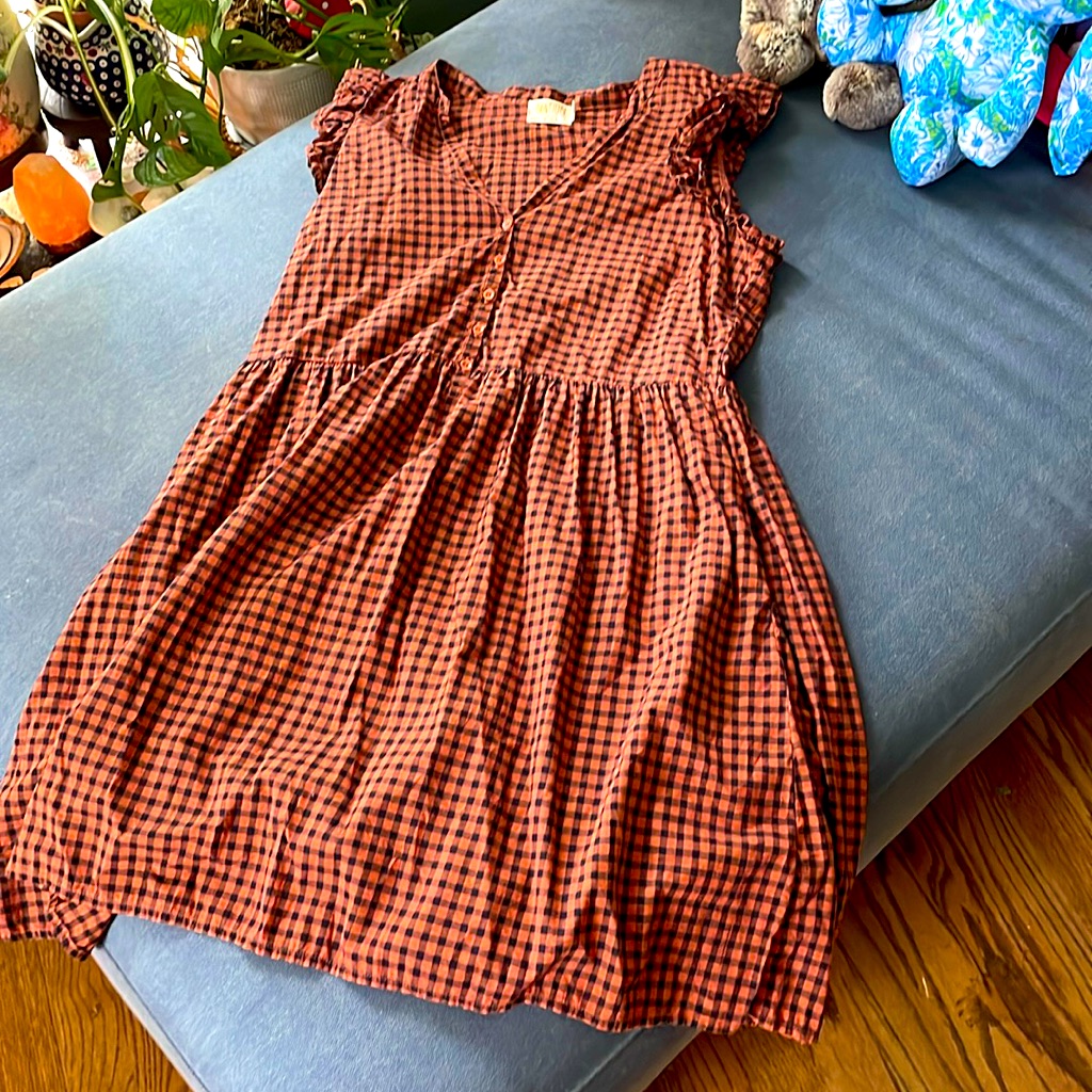 Flirty Sweet Super Flattering Nwot Nation Ltd Cotton Gingham Dress S